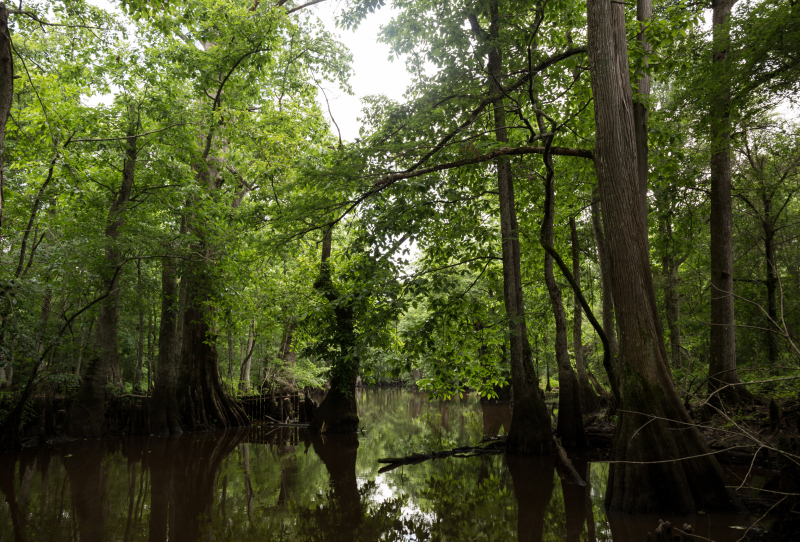 Pearl River, Mississippi, Louisiana, History, & Facts